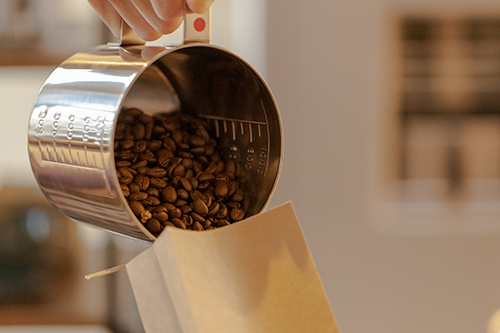 イメージギャラリー