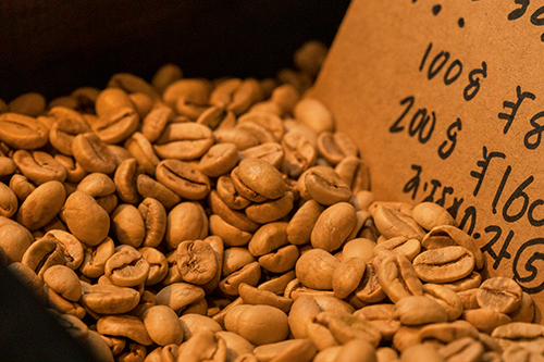 イメージギャラリー